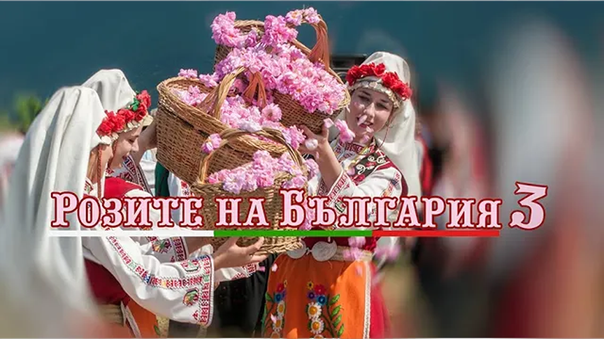 Розите на България